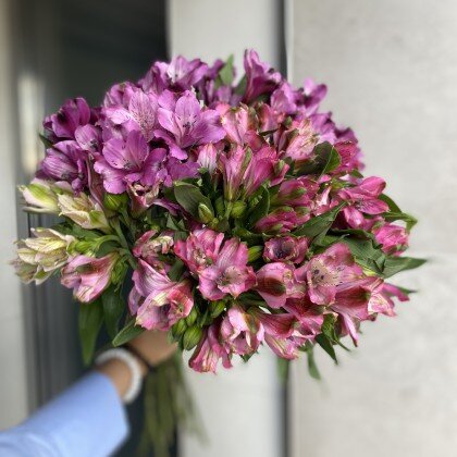 Астрометрия