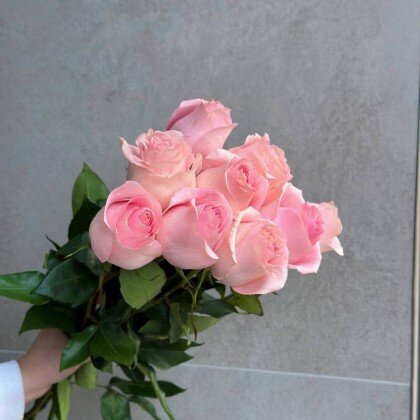 ЭКВАДОР РОЗОВАЯ