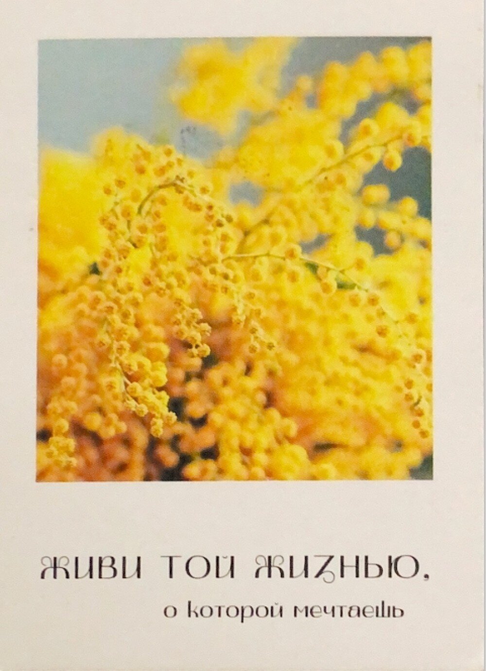 Открытка № 221