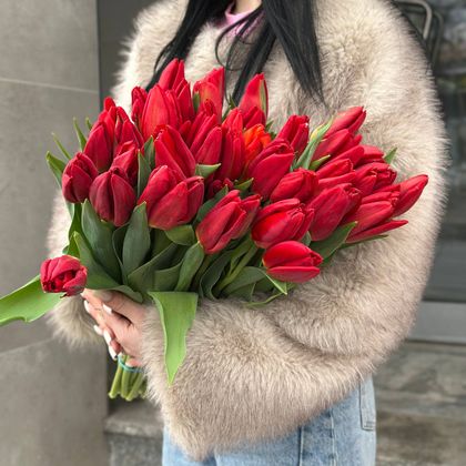 ТЮЛЬПАН КРАСНЫЙ