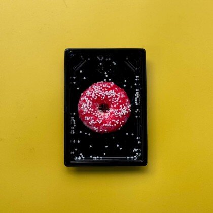 Пончик с тобикой