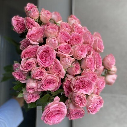 Роза Муриель кустовая пиановидная