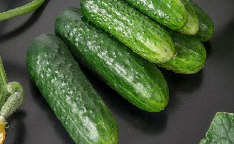 Огурец свежий