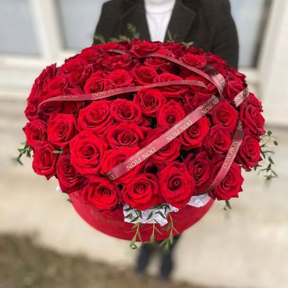 Композиция № 50