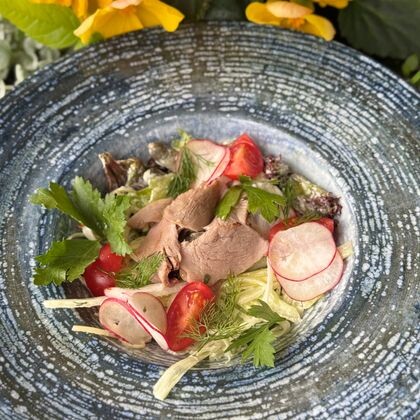 Салат с уткой, сельдереем, корнишонами и соусом айоли