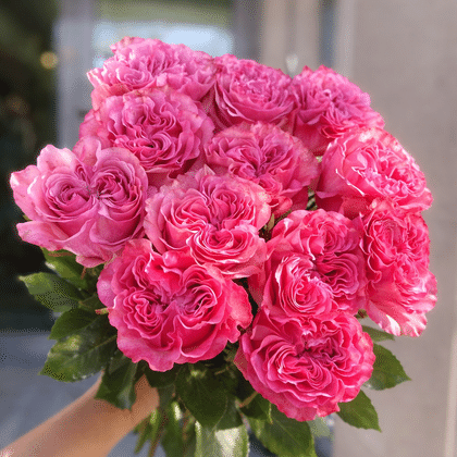 COUNTRY BLUES (КАНТРИ БЛЮЗ) МАЛИНОВАЯ