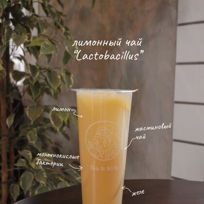 A1 Лимонный чай lactobacillus