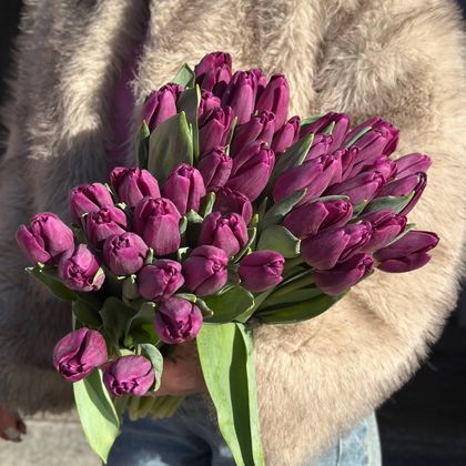 ТЮЛЬПАН ФИОЛЕТОВЫЙ
