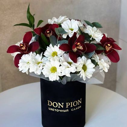 КОМПОЗИЦИЯ №41