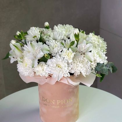 КОМПОЗИЦИЯ №42