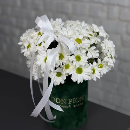 КОМПОЗИЦИЯ №53