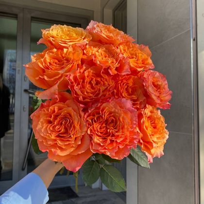 COUNTRY BLUES (КАНТРИ БЛЮЗ) ОРАНЖЕВАЯ