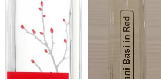 Armand Basi in red woman