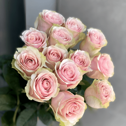 FRUTTETO (ФРУТЕТТО)