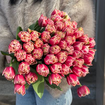 ТЮЛЬПАН РОЗОВЫЙ/БЕЛЫЙ