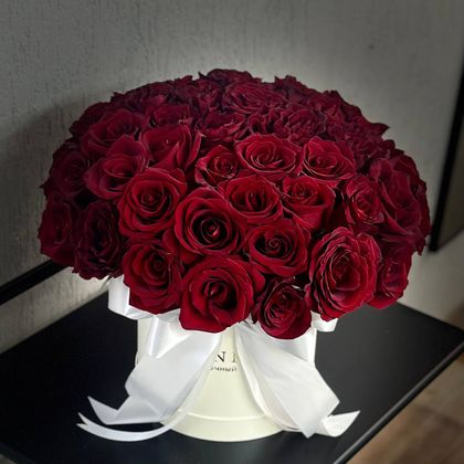 Композиция №48