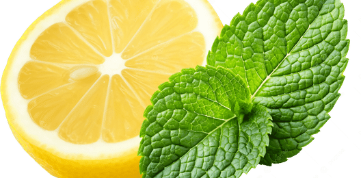 Мохито-лимонадный