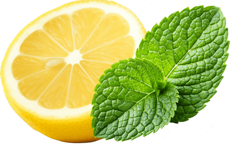 Мохито-лимонадный