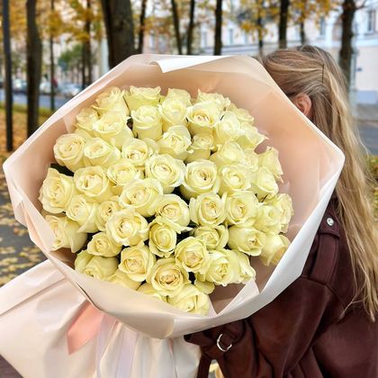 51 роза Пегассо 60см
