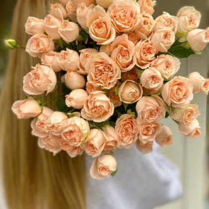 Кустовая роза №2