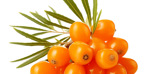 Облепиховый