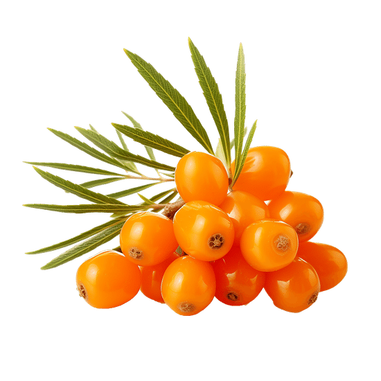 Облепиховый