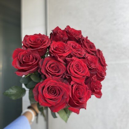 Роза Эквадор красная