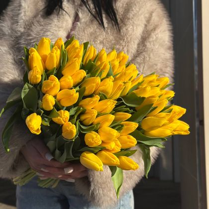 ТЮЛЬПАН ЖЕЛТЫЙ