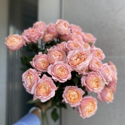 Роза Джульетта кустовая пиановидная