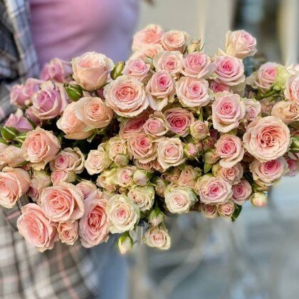 Кустовая роза № 004