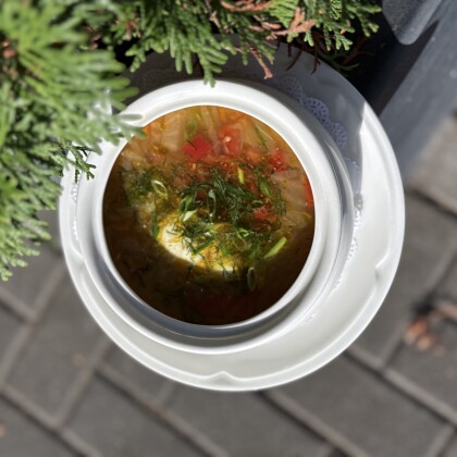 Щи из свежей капусты с уткой, грибами и клюквой
