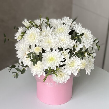 КОМПОЗИЦИЯ №48