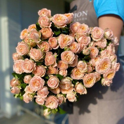 Кустовая роза №1