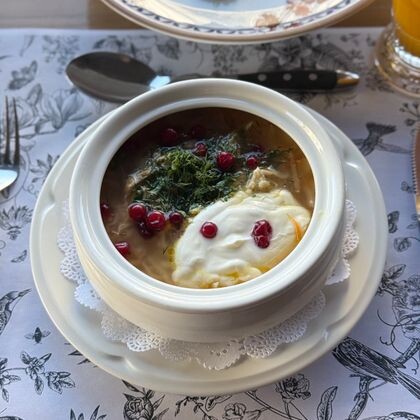 Щи из свежей капусты с птицей